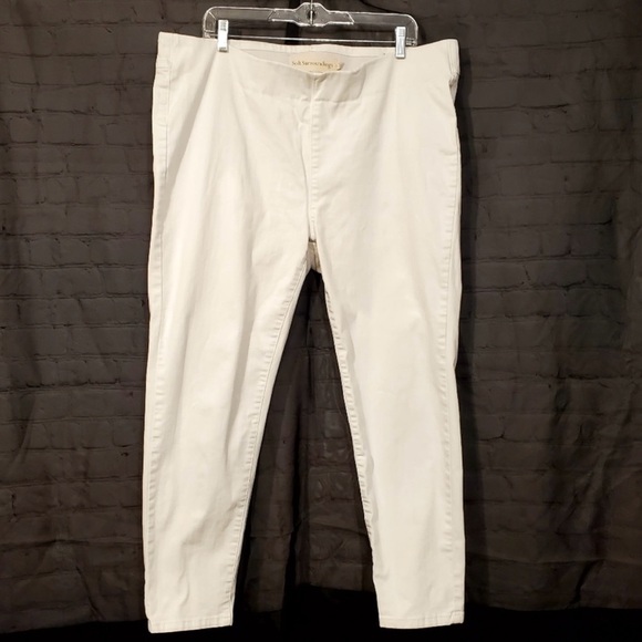 Soft Surroundings Denim Pull On Skinny Jeans Size 1X - Picture 1 of 7
